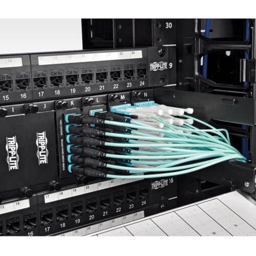 Tripp Lite N844-01M-12-P InfiniBand/fibre optic cable 35.8" (0.91 m) MTP Black, Turquoise