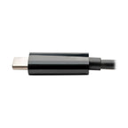 Tripp Lite U444-06N-VB-C USB graphics adapter 1920 x 1080 pixels Black