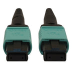 Tripp Lite N844B-10M-12-P InfiniBand/fibre optic cable 393.7" (10 m) MPO/MTP OFNR Aqua color, Black