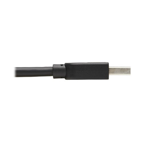 Tripp Lite U325-010 USB cable USB 3.2 Gen 1 (3.1 Gen 1) 118.1" (3 m) USB A Black