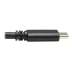 Tripp Lite U428-20N-G2 USB cable USB 3.2 Gen 2 (3.1 Gen 2) 19.7" (0.5 m) USB C USB A Black