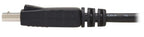 Eaton P580-006-2PK DisplayPort cable 70.9" (1.8 m) Black