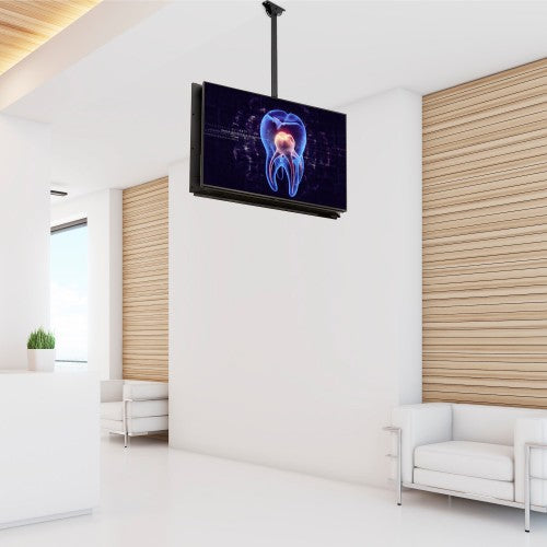 StarTech.com FPCEILBTB signage display mount 75" Black