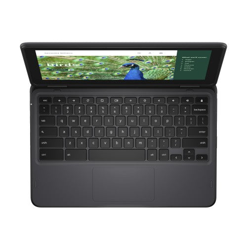 DELL Chromebook 3120 2-in-1 Intel® N N100 11.6" Touchscreen HD 4 GB LPDDR5-SDRAM 64 GB eMMC Wi-Fi 6 (802.11ax) ChromeOS Black