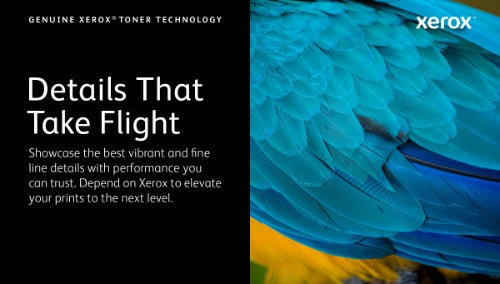 106R03862 Toner black, 5K pages