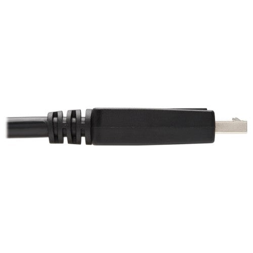 Tripp Lite P581-006 video cable adapter 72" (1.83 m) DisplayPort DVI-D Black, White