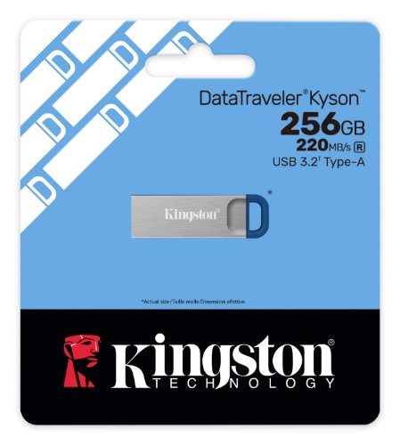 Kingston Technology DataTraveler Kyson USB flash drive 256 GB USB Type-A 3.2 Gen 1 (3.1 Gen 1) Stainless steel