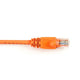 Black Box 2.1m Cat6 networking cable Orange 82.7" (2.1 m)